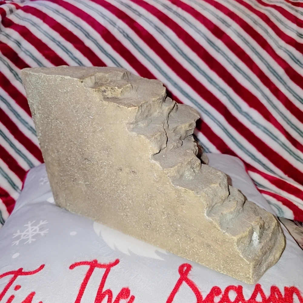 Bearded dragon climbing den